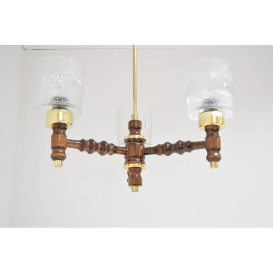 Image 1 of Lampadario vintage in vetro, legno e ottone di Jilove u Decina, Cecoslovacchia, 1970