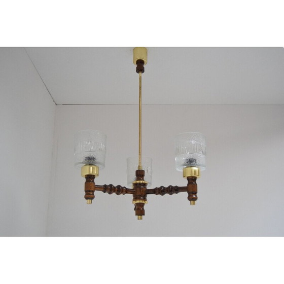 Image 1 of Lampadario vintage in vetro, legno e ottone di Jilove u Decina, Cecoslovacchia, 1970