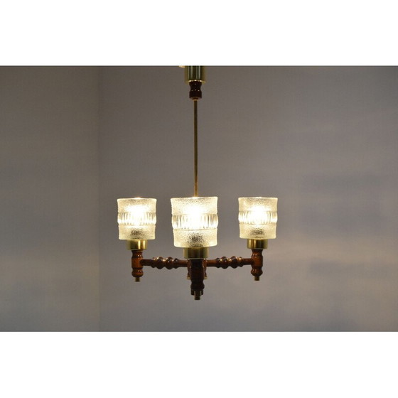 Image 1 of Lampadario vintage in vetro, legno e ottone di Jilove u Decina, Cecoslovacchia, 1970