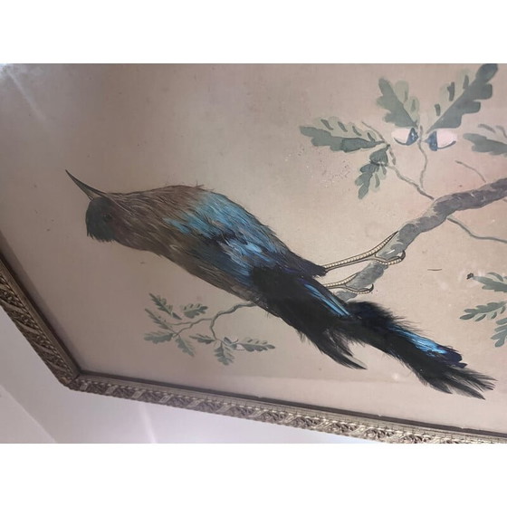Image 1 of Vintage bird illustration