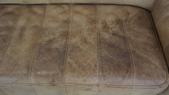 Image 1 of Vintage Design Sofa From De Sede Model Ds44