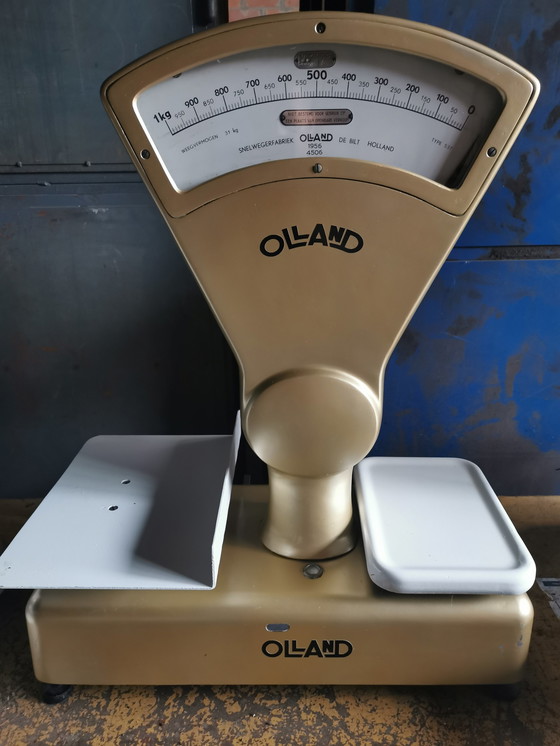 Image 1 of Golden scale olland