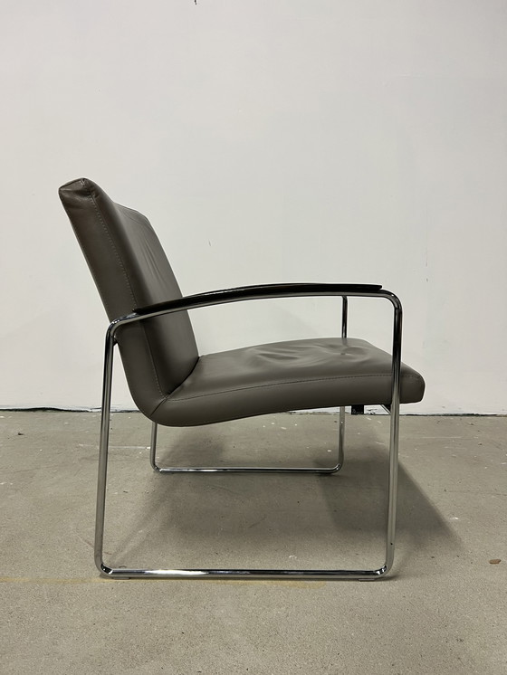 Image 1 of Fauteuil Leolux Talassa cuir gris