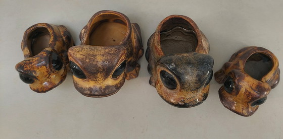 Image 1 of Flower Pots Frog 1970s