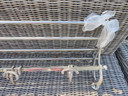 Train coat rack metal large flawless