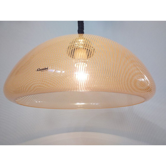 Image 1 of Vintage hanging lamp by Harvey Guzzini, Italy, 1970s