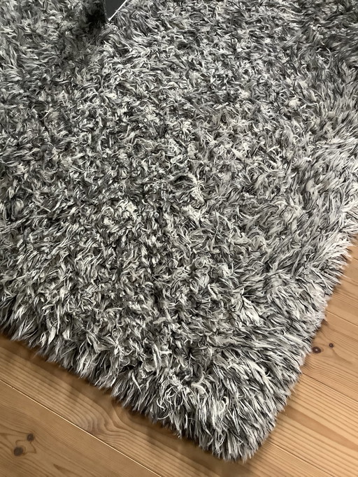 NCR Carpet