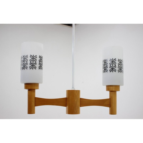 Image 1 of Lampada a sospensione vintage in legno e vetro, Cecoslovacchia, anni '80