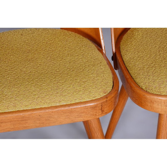 Image 1 of Set of 4 vintage beech and fabric chairs by Oswald Haerdtl, Czechoslovakia 1950-1959