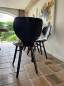 6x chaises Tulipani par Roderick Vos