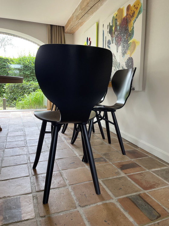 Image 1 of 6x Tulipani chairs by Roderick Vos