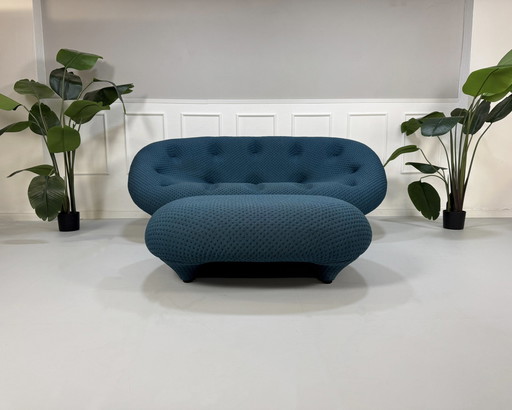 Ligne Roset Ploum Designer Sofa Blue Couch 2 Seater