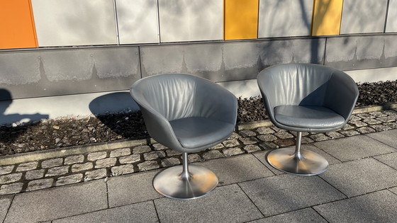 Image 1 of Silla de diseño Walter Knoll Bob - Original con base de tulipán - Juego de 2