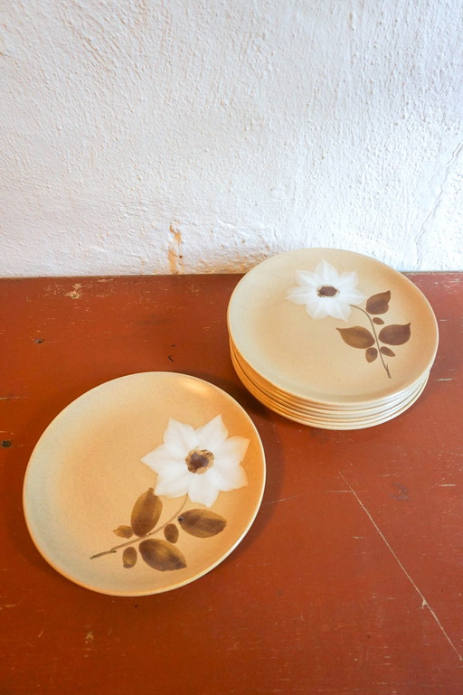 8x Gres flat plates Saint Amand Moulin Des Loups Brown White Autumn Flower Model