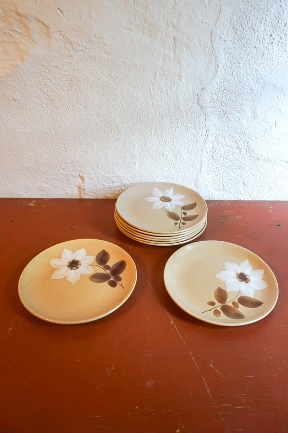 Image 1 of 8x assiettes plates Gres Saint Amand Moulin Des Loups Marron Blanc Fleur d'Automne Modèle