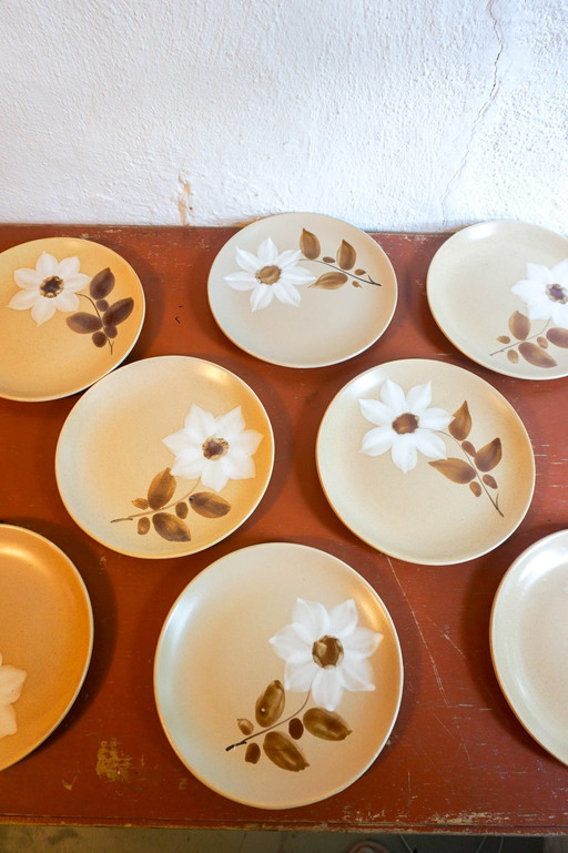 8x Gres flat plates Saint Amand Moulin Des Loups Brown White Autumn Flower Model