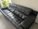 Sofá de 2 y 3 plazas Rolf Benz Modelo 6500