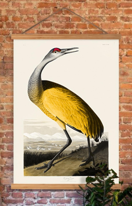 Vintage poster / yellow Bird / A1