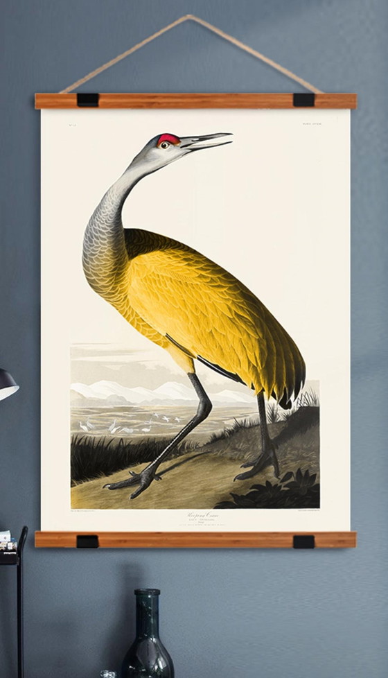 Image 1 of Vintage poster / yellow Bird / A1
