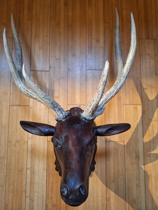 Solid Wood Deer Head With Real Antlers, Java, Indonesia