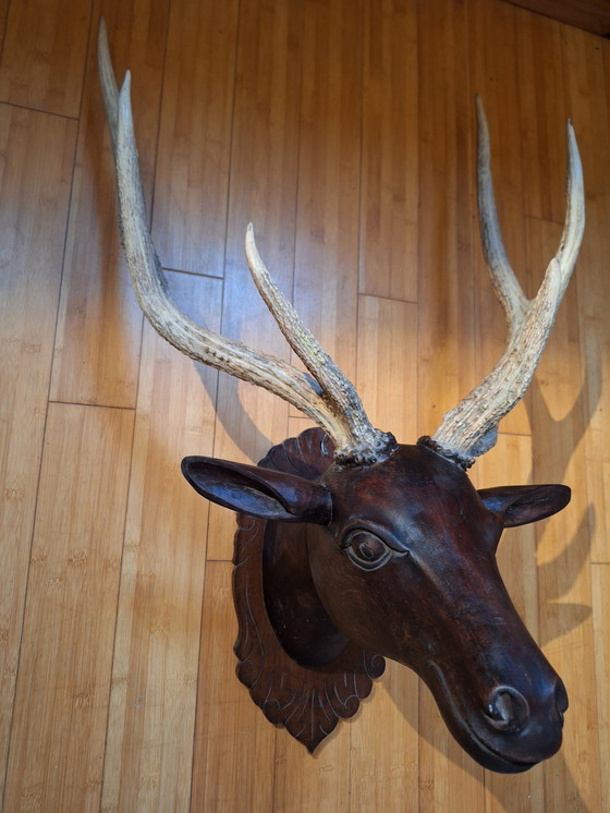 Image 1 of Solid Wood Deer Head With Real Antlers, Java, Indonesia