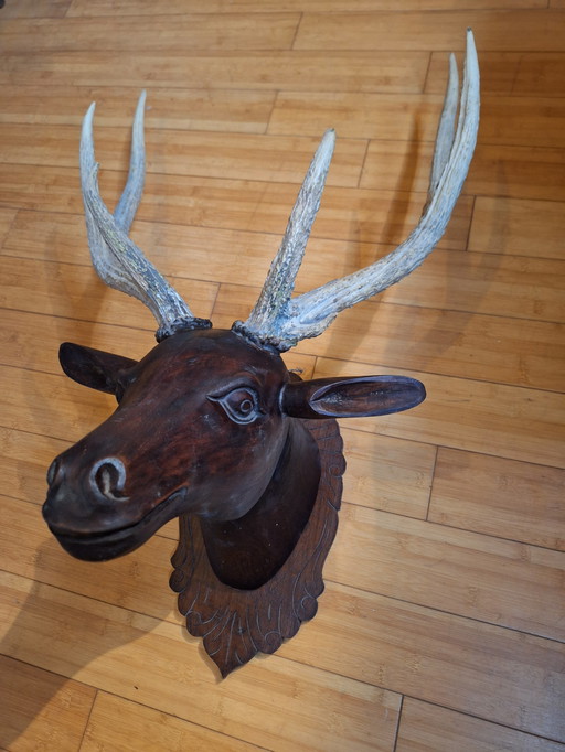 Solid Wood Deer Head With Real Antlers, Java, Indonesia