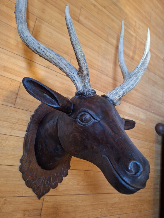 Image 1 of Solid Wood Deer Head With Real Antlers, Java, Indonesia