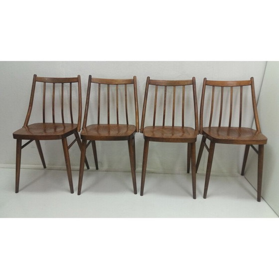 Image 1 of Set of 4 vintage dining chairs designed by Antonín Šuman, 1966s