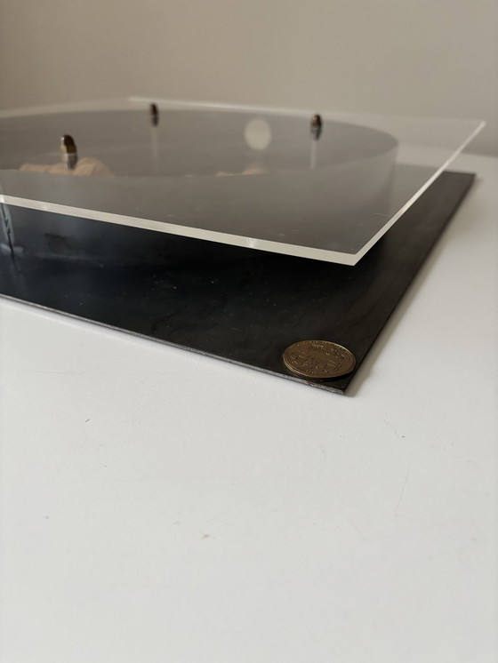 Image 1 of Design Cork Display Adam Olsson per il sommelier, il vinologo o l&#39;enologo 