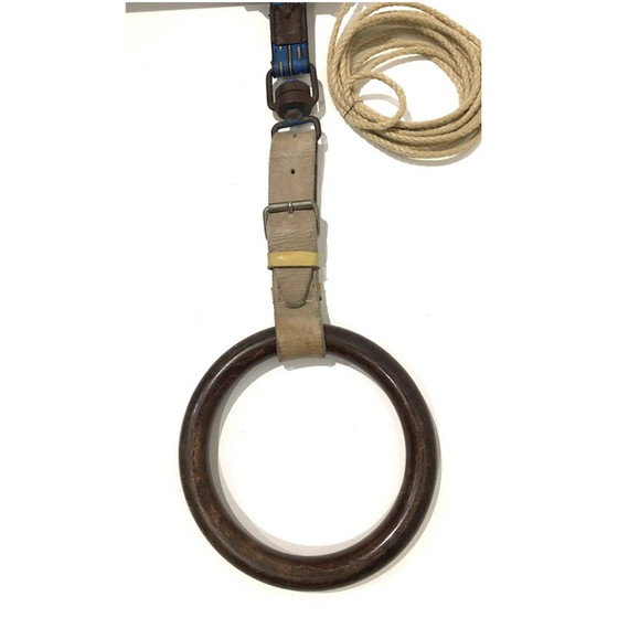 Image 1 of Anelli da ginnastica in legno d'epoca, Cecoslovacchia, anni '40