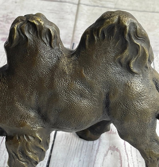 Image 1 of Large Dromedary Camel Bronze Statue