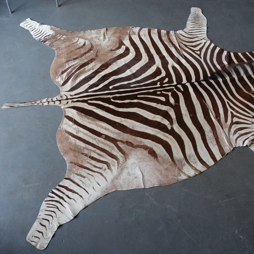 Zebra Skin With Certificate