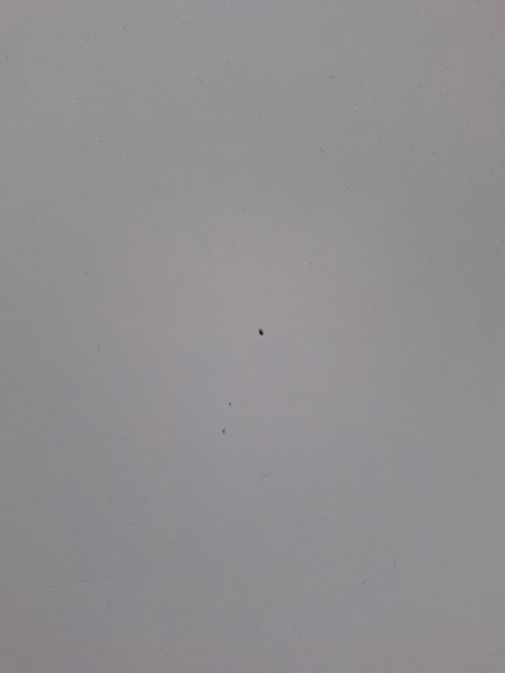 Image 1 of Halifax Sansone Dining Table