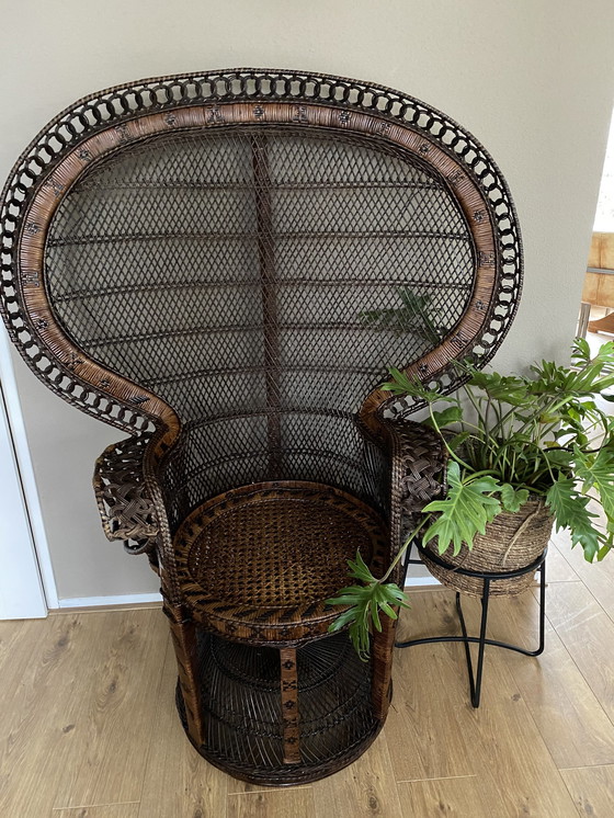 Image 1 of Sedia vintage a forma di pavone