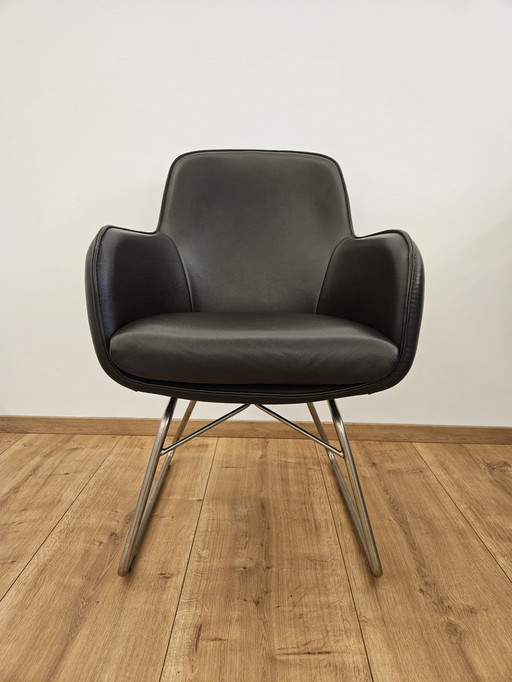 Wk Wohnen, Wk704, cantilever dining chair,