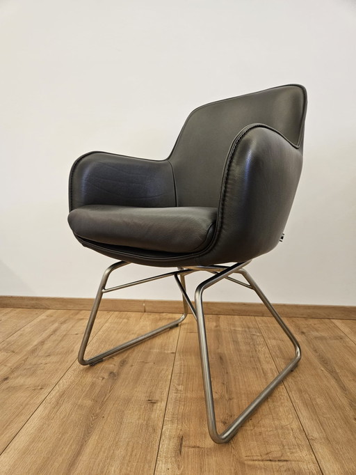 Wk Wohnen, Wk704, cantilever dining chair,