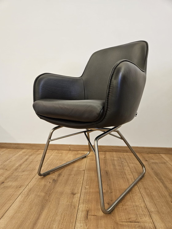 Image 1 of Wk Wohnen, Wk704, cantilever dining chair,