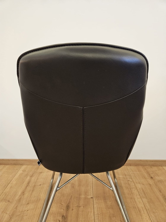 Image 1 of Wk Wohnen, Wk704, cantilever dining chair,