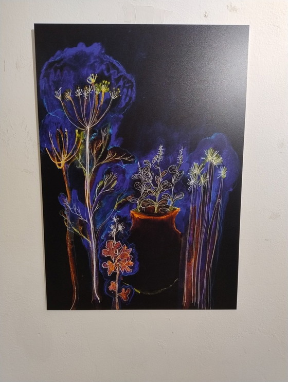 Image 1 of Print With on Dibond With Hanging System