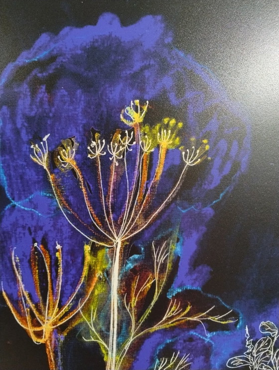 Image 1 of Print With on Dibond With Hanging System