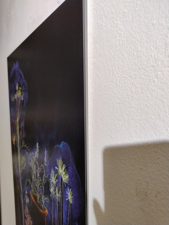 Image 1 of Print With on Dibond With Hanging System