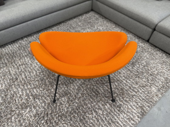 Image 1 of Poltrona Artifort Orange Slice in tessuto Tonus arancione