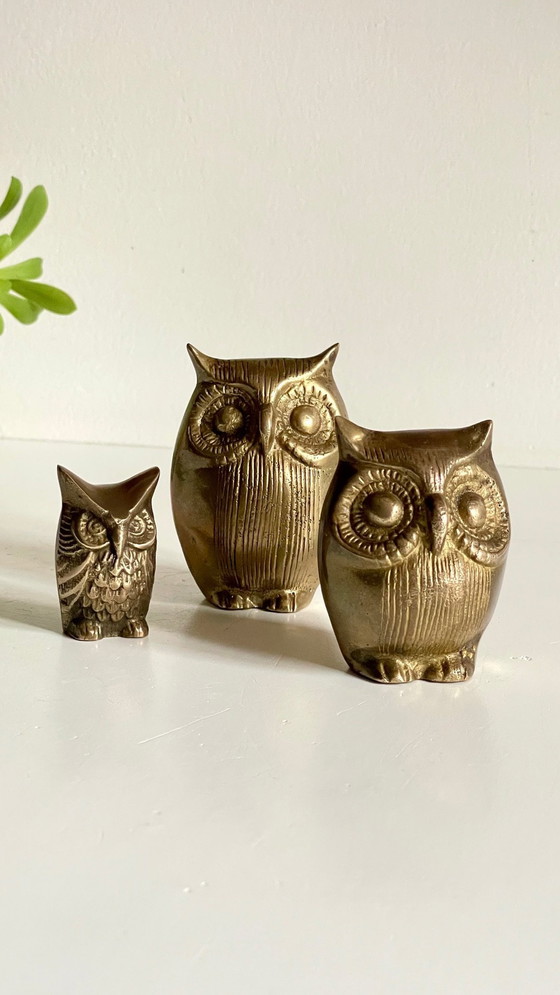 Image 1 of Owl Family Vintage Brass