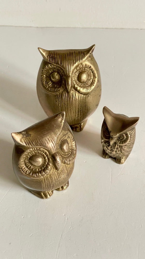 Image 1 of Owl Family Vintage Brass