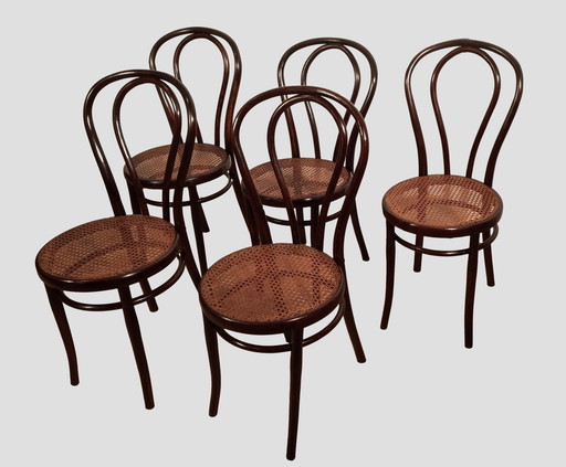 5x Chaises de salle à manger en hêtre courbé