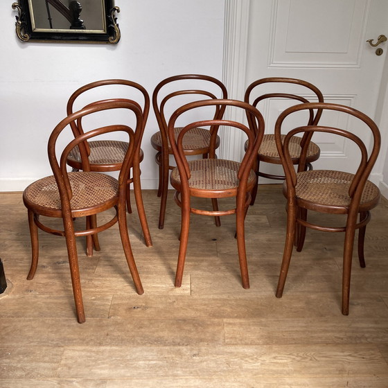 Image 1 of 6X Thonet No. 14 Chairs With Webbing Seats