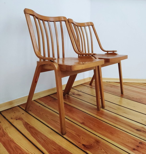 Image 1 of Czechoslovakian Chairs By L. Volák For Ton, 1960S, Set Of 2