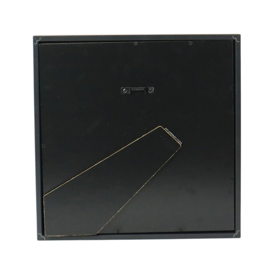 Image 1 of Framed Butterflies Xl Birdwing