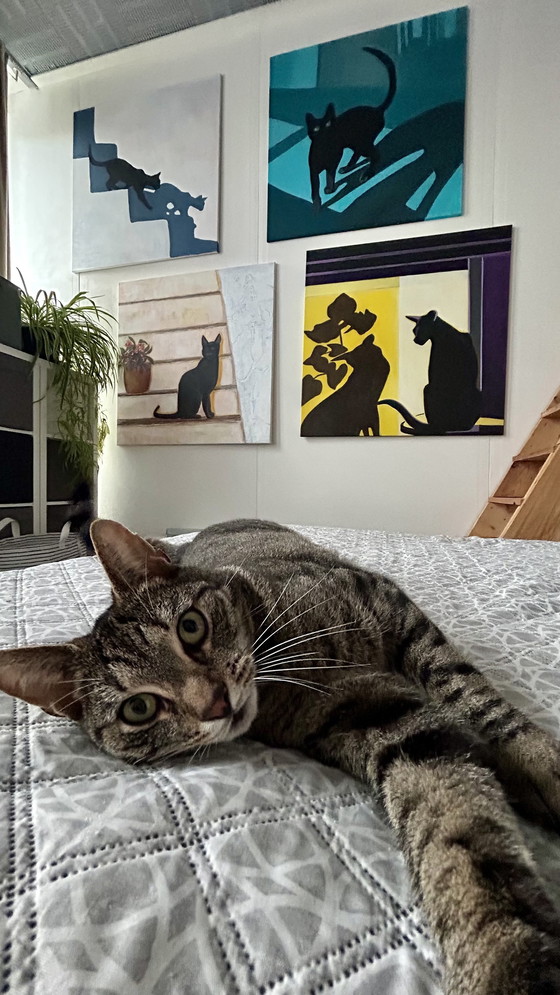 Image 1 of Gatto Giallo 