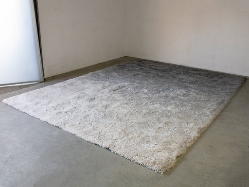 Frankly Amsterdam Rug Show Off Gradient Color 561150X350